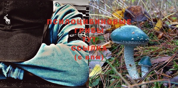 прущий лед Касимов