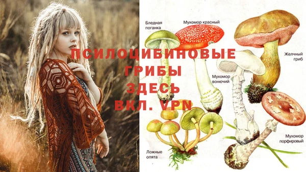 прущий лед Касимов